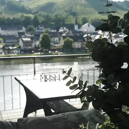 Ferienwohnung Moselterrasse Zell an der Mosel Exterior photo