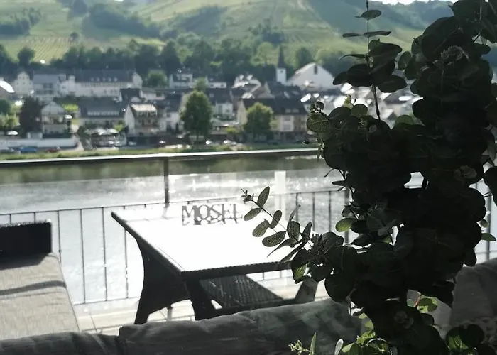 Ferienwohnung Moselterrasse