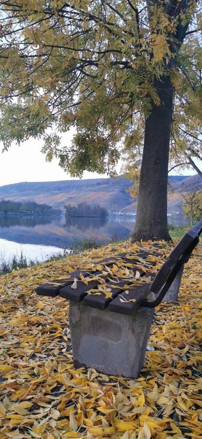 Moselterrasse Zell an der Mosel